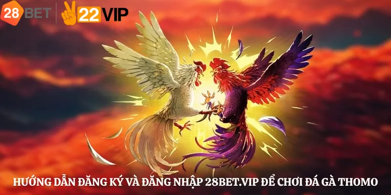 Hướng dẫn đăng ký và đăng nhập 28bet.vip để chơi đá gà Thomo